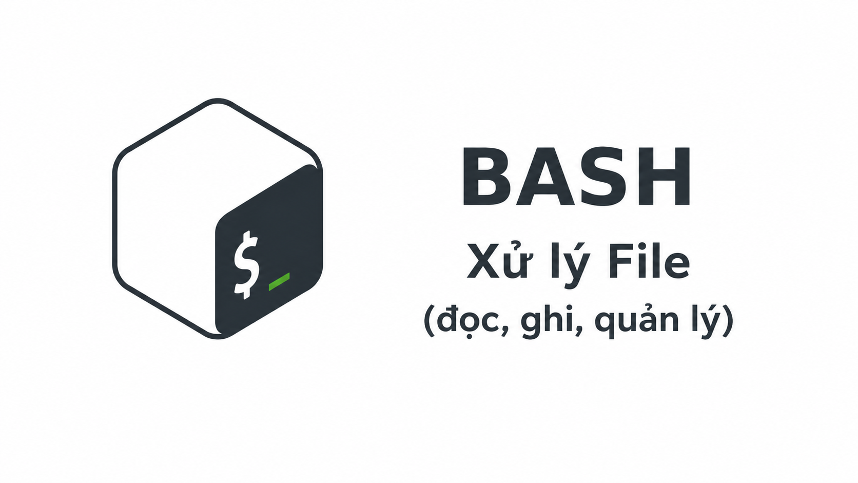 Featured image of post Xử lý file trong Bash: đọc, ghi và quản lý an toàn cho DevOps